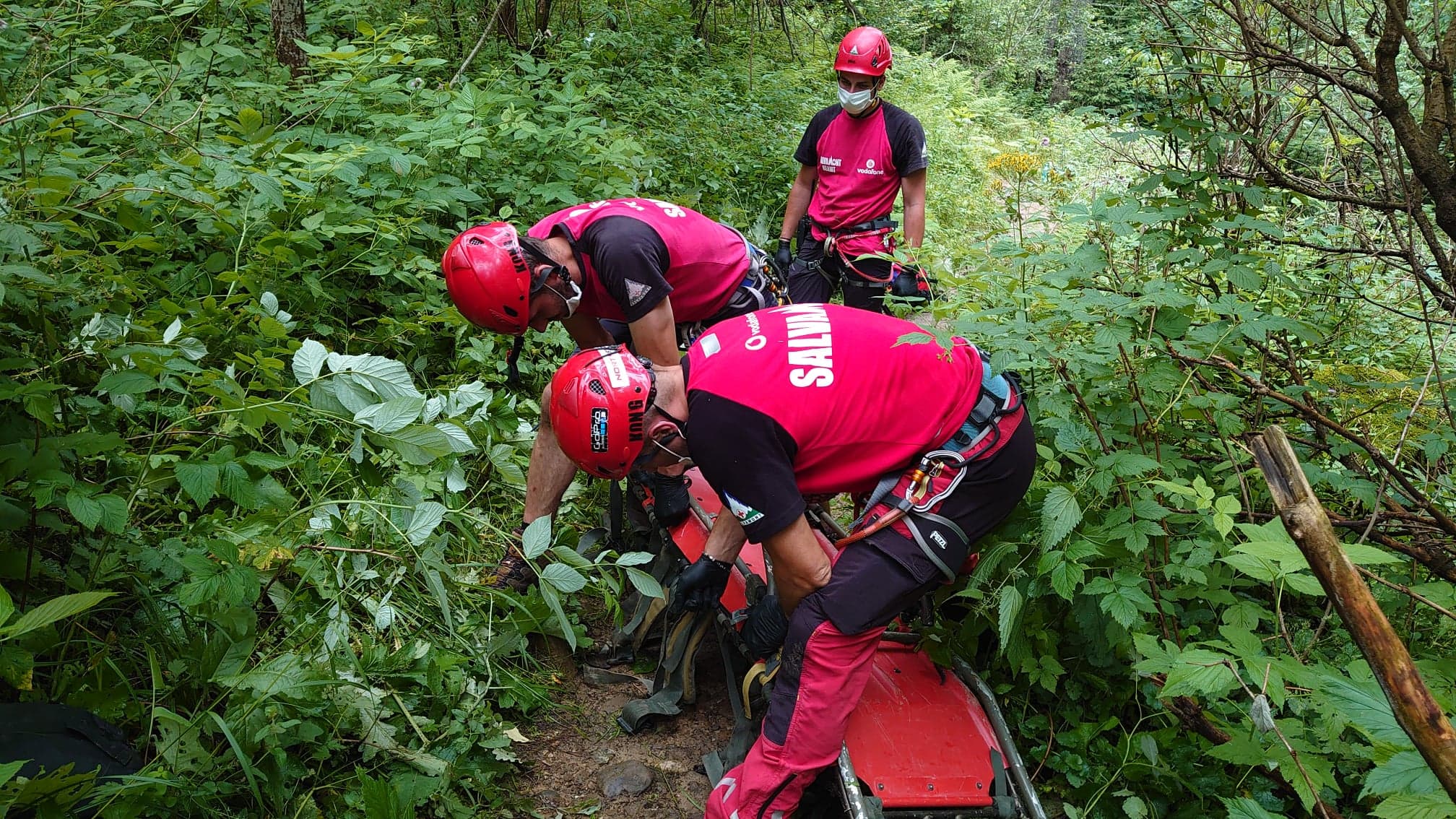 German tourist dies after being struck by lightning in Romania’s Rodnei Mountains