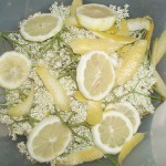 Rachel’s recipes: Elderflower syrup