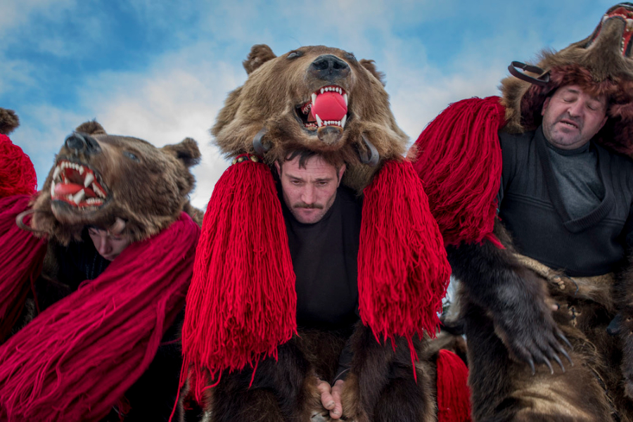 A troupe of bears from Asău village performs in central Comăneşti during the town's annual Bear Parade and Competition. December 30, 2014. Comăneşti town, Bacău county, Romania.