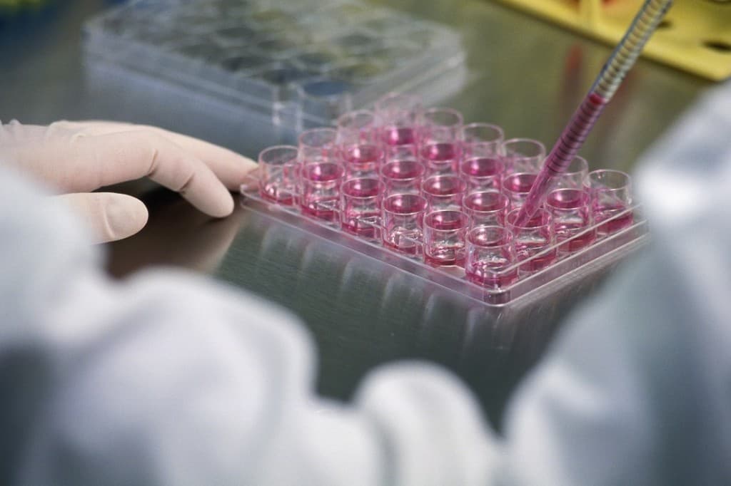 EC approves EUR 144 million funding for rare disease research