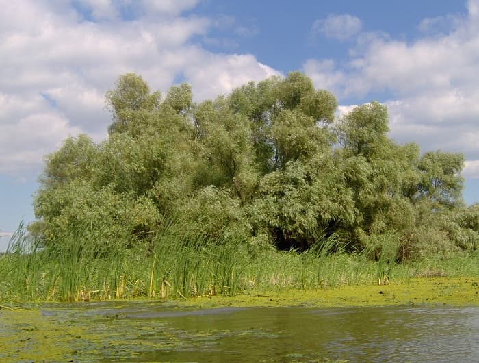 Romania chosen by more foreign travelers, Danube Delta, spa resorts top destinations