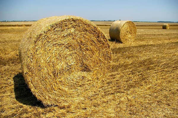 Romania plans land bank to control ownership of its agricultural land