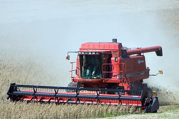 Romania seeks EU ok to grow genetically modified soybeans from 2012