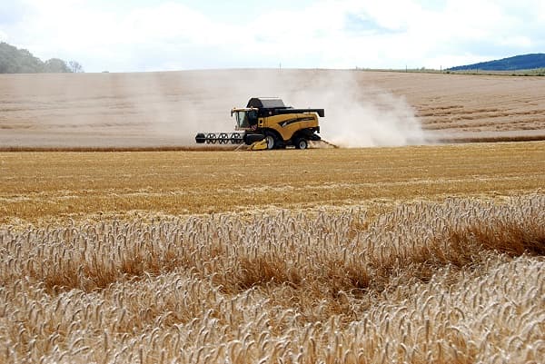 Romania loses 1 million hectares of ploughable land to constructions