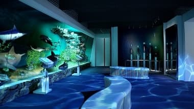 Antipa natural history museum in Bucharest gets 60,000 visitors in one month after re-opening