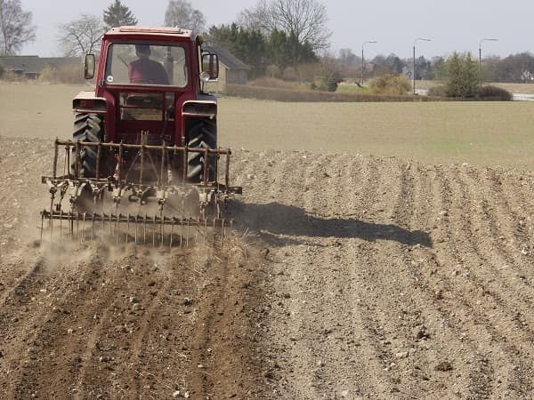 Romanians looking for jobs abroad eye agriculture, constructions, hotels