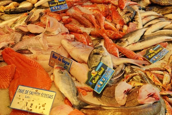 Romanian Fishery Agency to launch bid for Tulcea Fish Exchange project