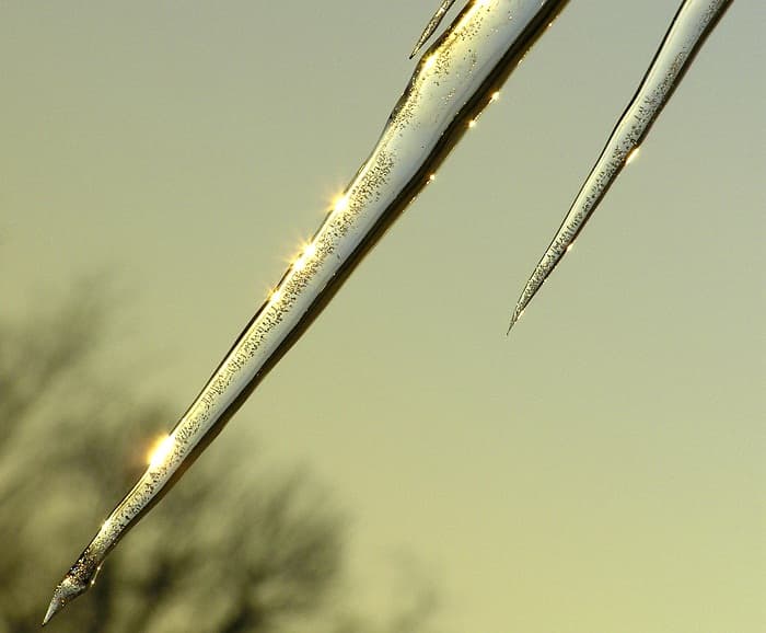 Freezing conditions in Eastern Europe cause casualties