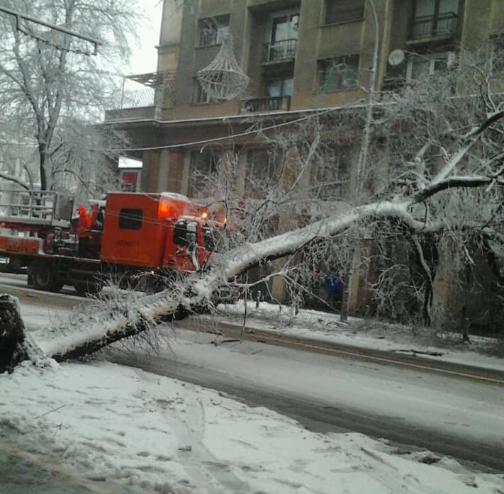 Code Orange for snow and blizzards in Romania, flights delayed; fallen tree blocks traffic downtown Bucharest