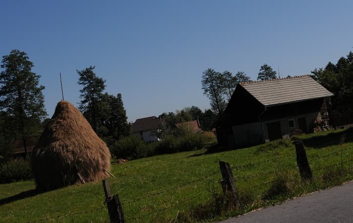 Agriculture Commissioner Ciolos calls for more broadband Internet connection in rural Romania