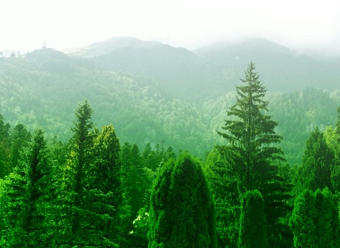 EC backed Carpathian Climate Change project to meet in Romania