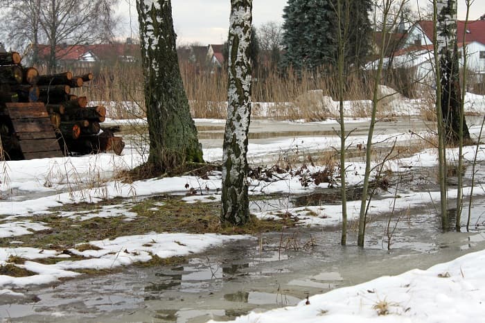 Romania's Water Administration says no immediate risk of floods after heavy snowfall