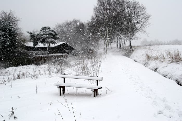 Local authorities ask for state of emergency in two snow-bound counties in Romania