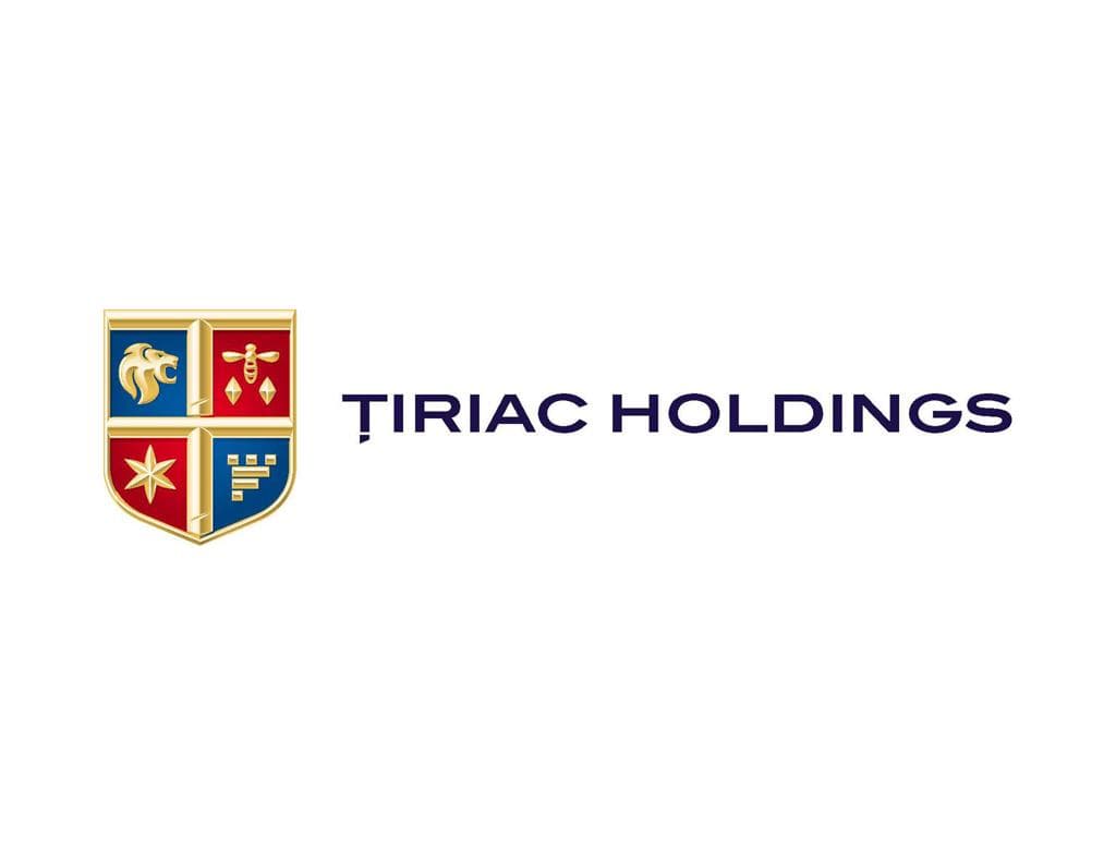 Romanian Tiriac Holding rebranding and BrandTailors awarded at Transform Awards 2012
