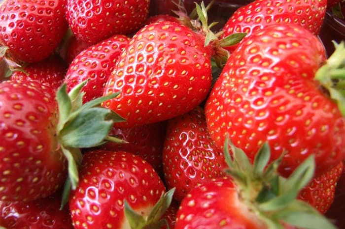 Rachel's recipes: Romanian strawberries, basil and buffalo sour cream and yoghurt