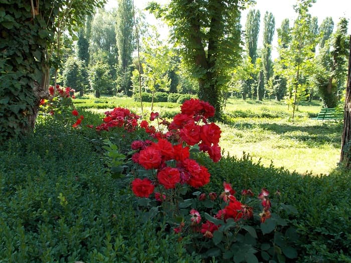 The week-end getaway in the heart of Bucharest: the Botanical Garden