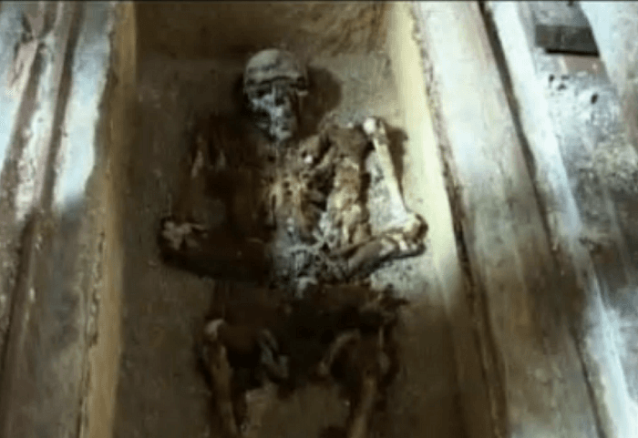 New culture minister halts DNA project aiming to unveil the mysteries of Romania's medieval kings