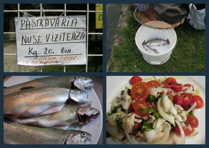 Rachel's recipe: Carpathian Trout Ceviche