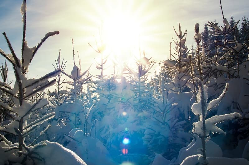 Record low of minus 26°C in Romania this year; Transylvania to remain under wintry siege, rest of country slightly warmer