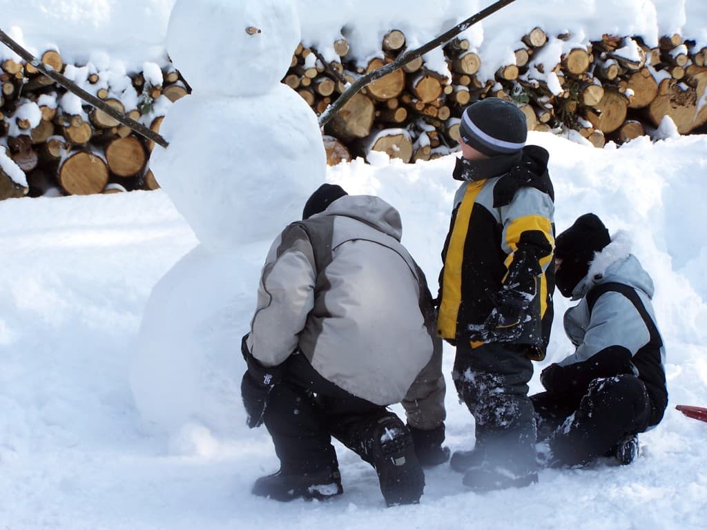Comment: Remembering the old winters, or 'les neiges d'antan'