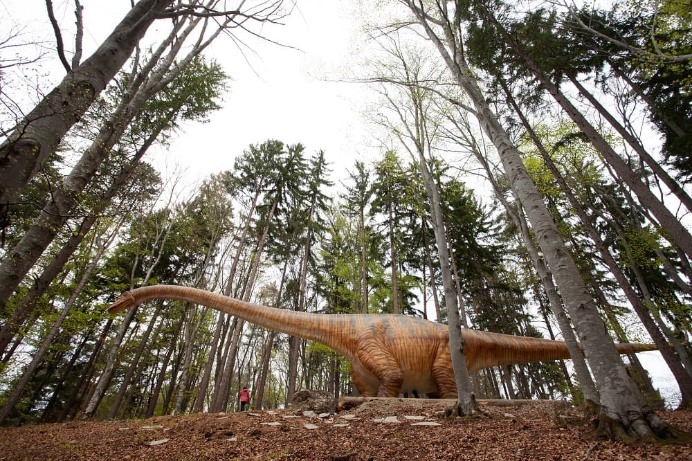 Dinosaur park in Romania doubles surface