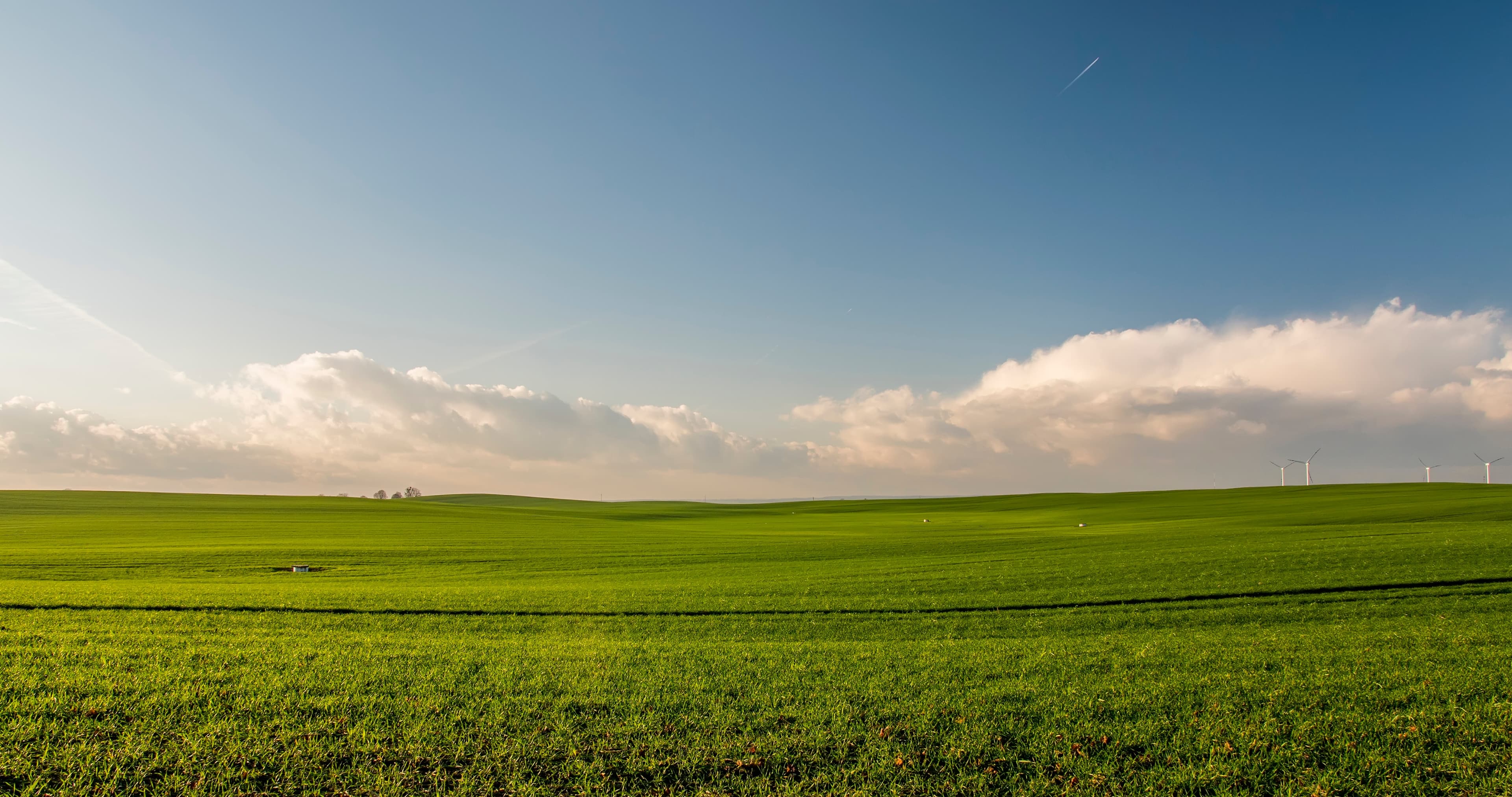 SocDem leader wants to limit foreigners’ access to buying land in Romania