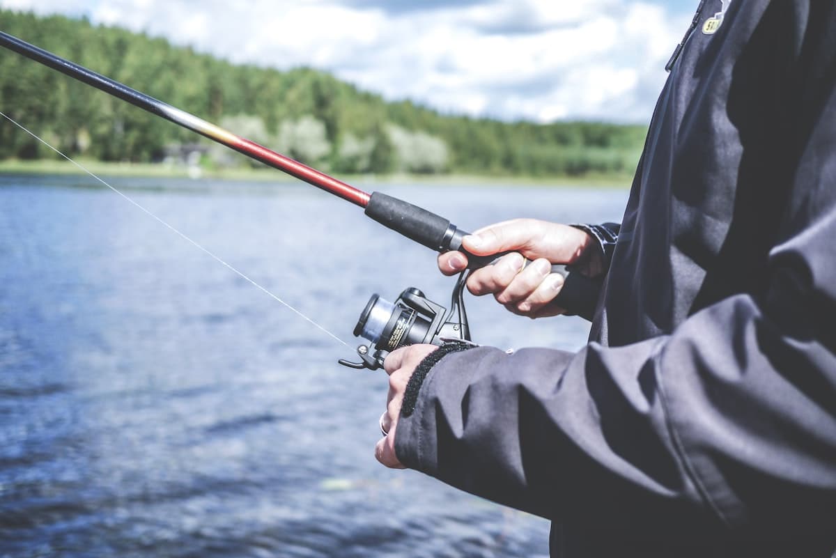Romania travel: Fishing destinations near Bucharest