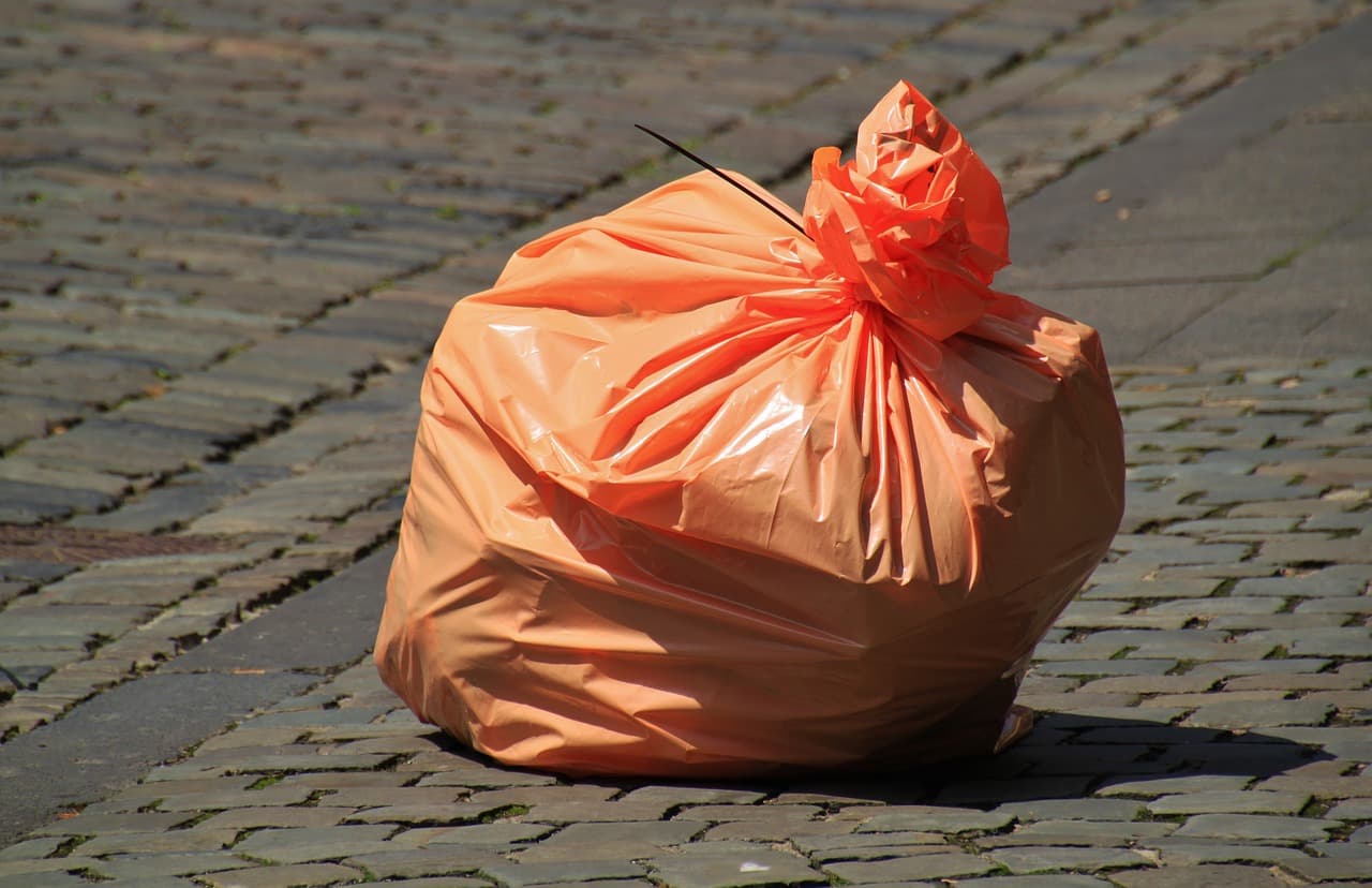Bucharest district sets up surveillance cameras to discourage illegal waste dumping