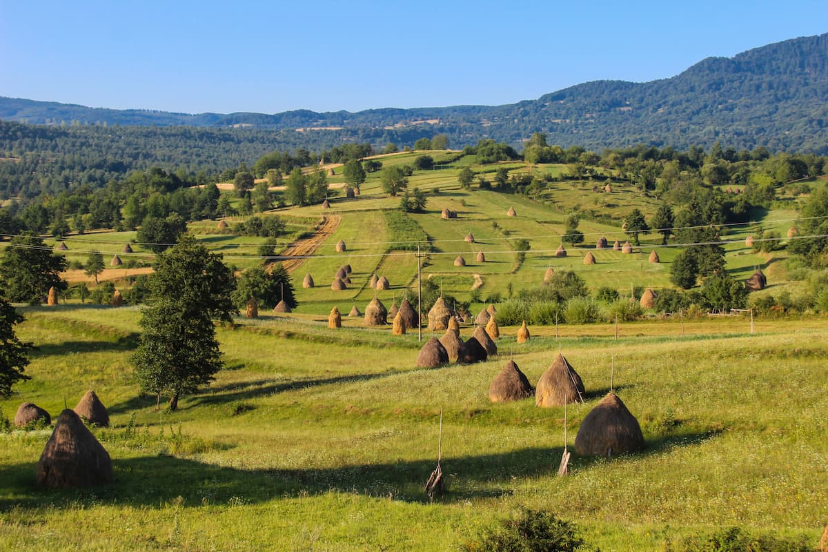 Projekt Maramures: German teens brought in Romania for reeducation, held as slaves