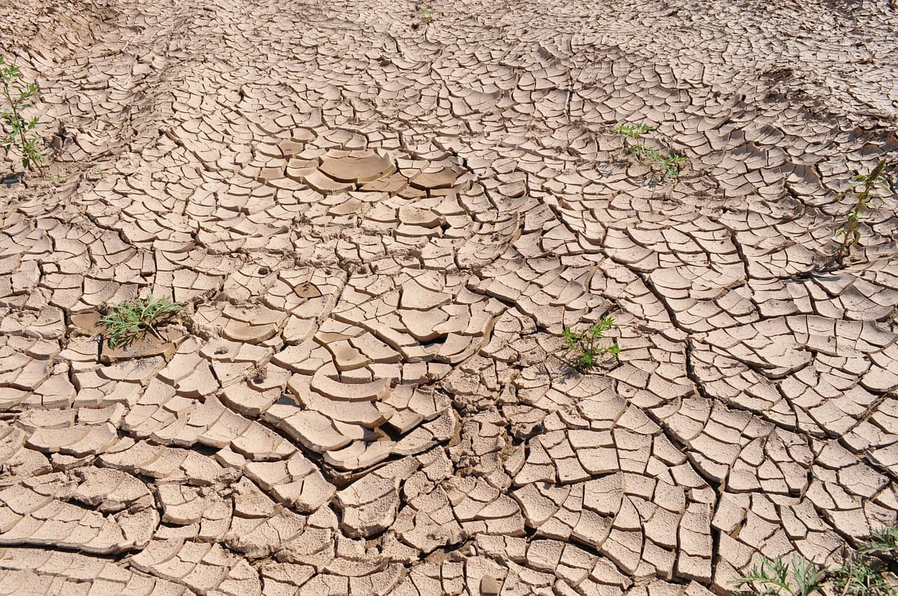 Survey: Eight out of ten Romanians think country is affected by global warming