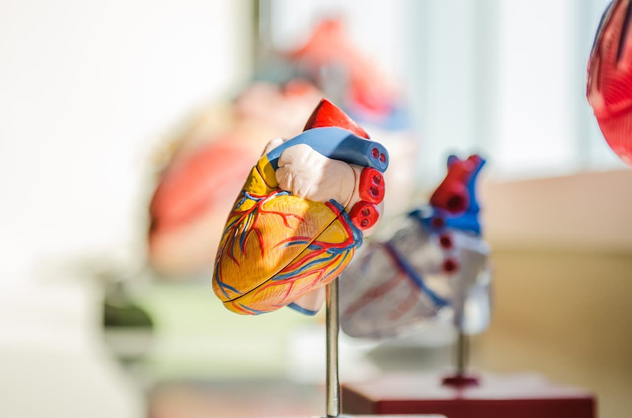 Romanian student aces medical school entrance exam in Italy