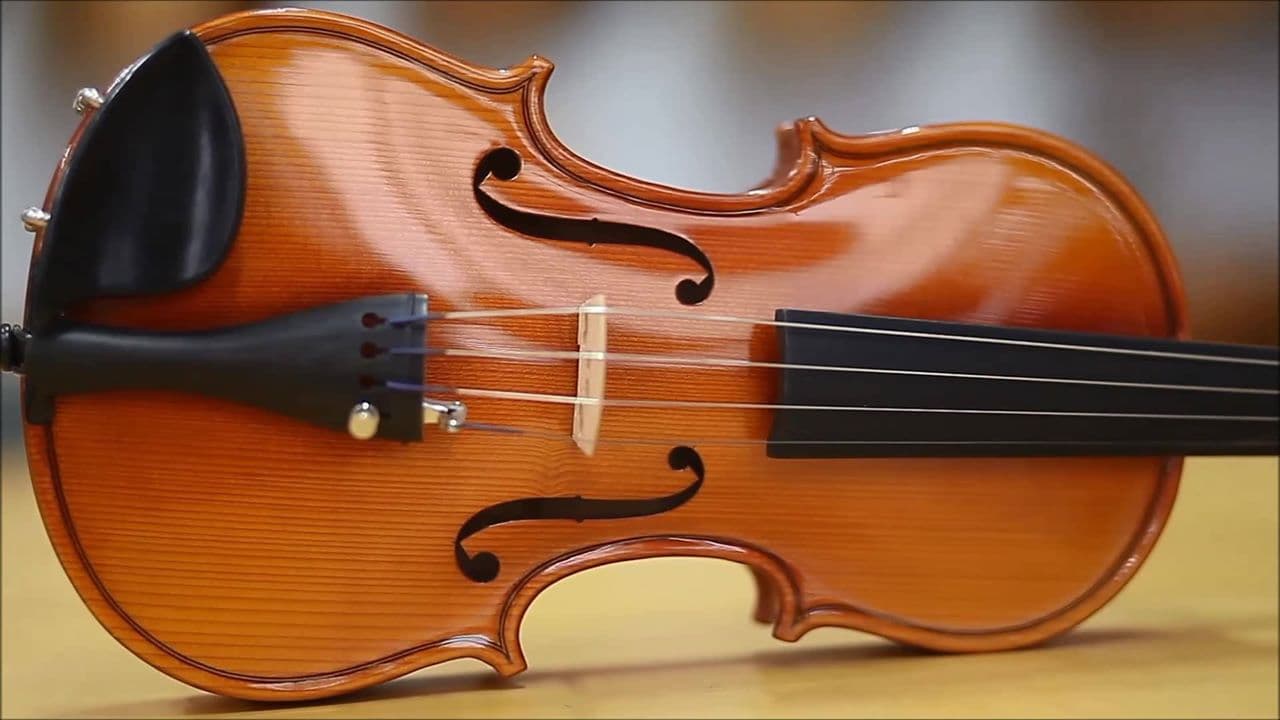 Romania is EU’s biggest violin exporter