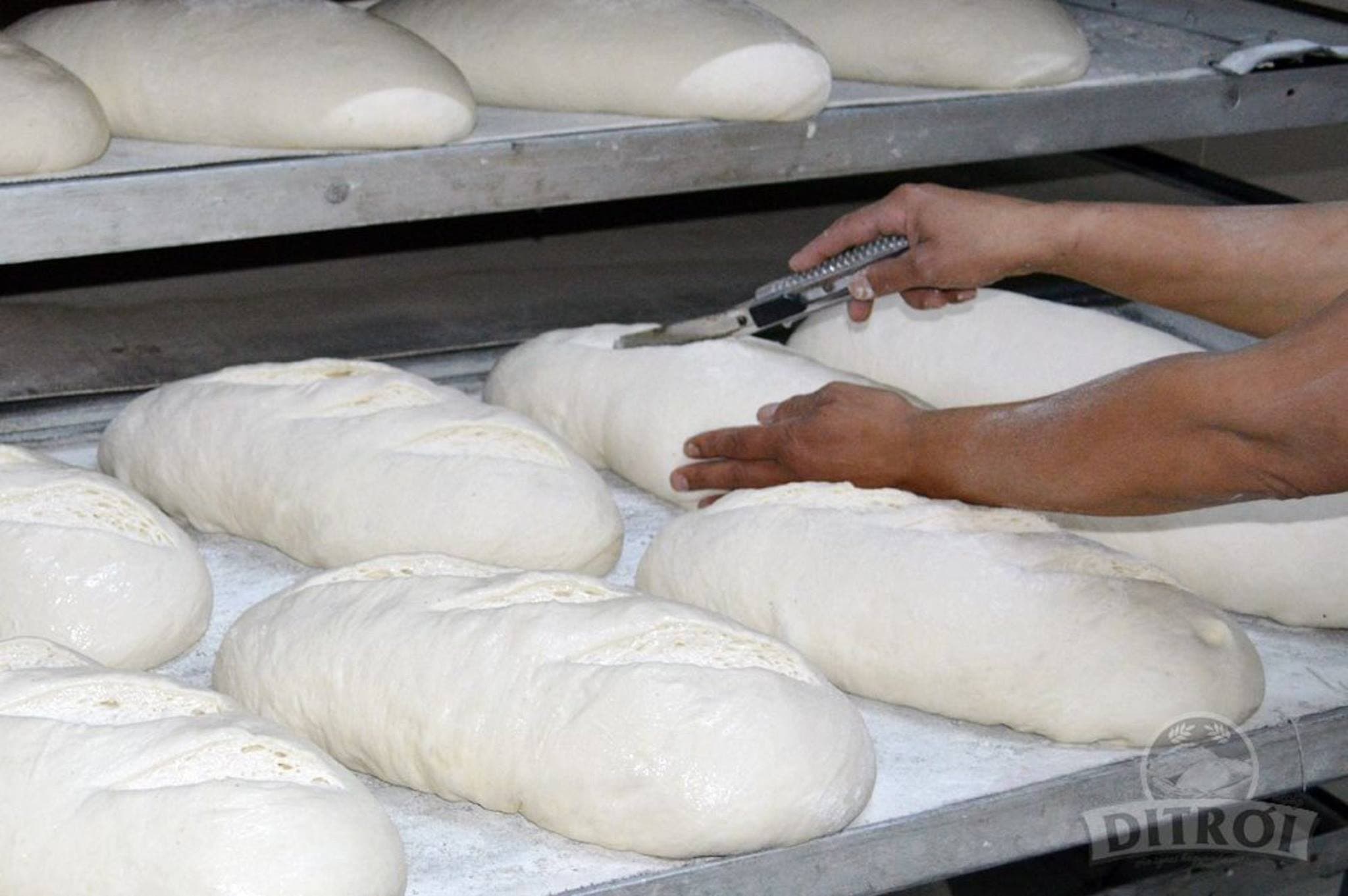 Residents in Romanian village rise against Sri Lankan workers at local bread factory