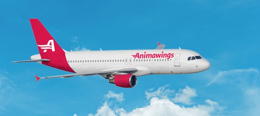 Aegean buys 25% stake in Romanian niche carrier Animawings