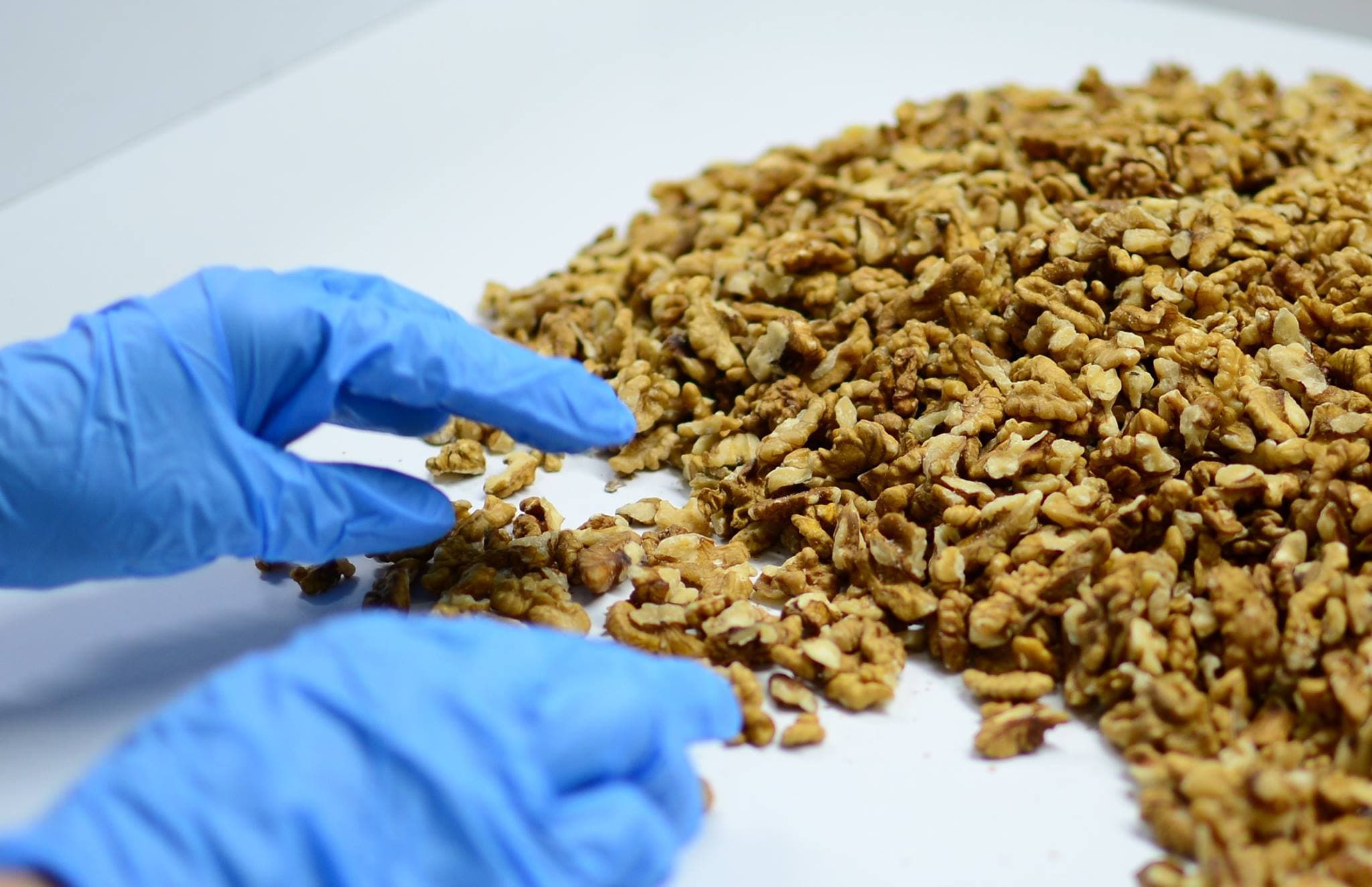 Romanian walnut kernel processor keeps expanding on bank loans