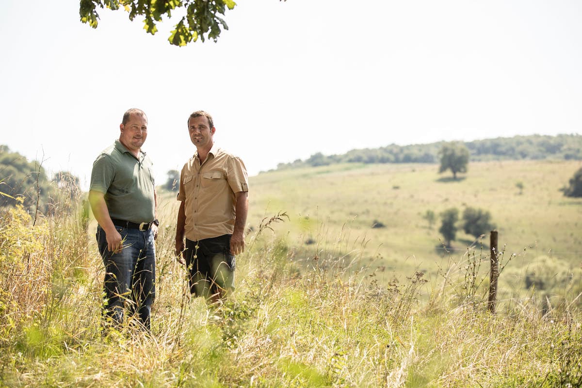 Two Swiss investors make premium Angus beef in the green meadows of Transylvania