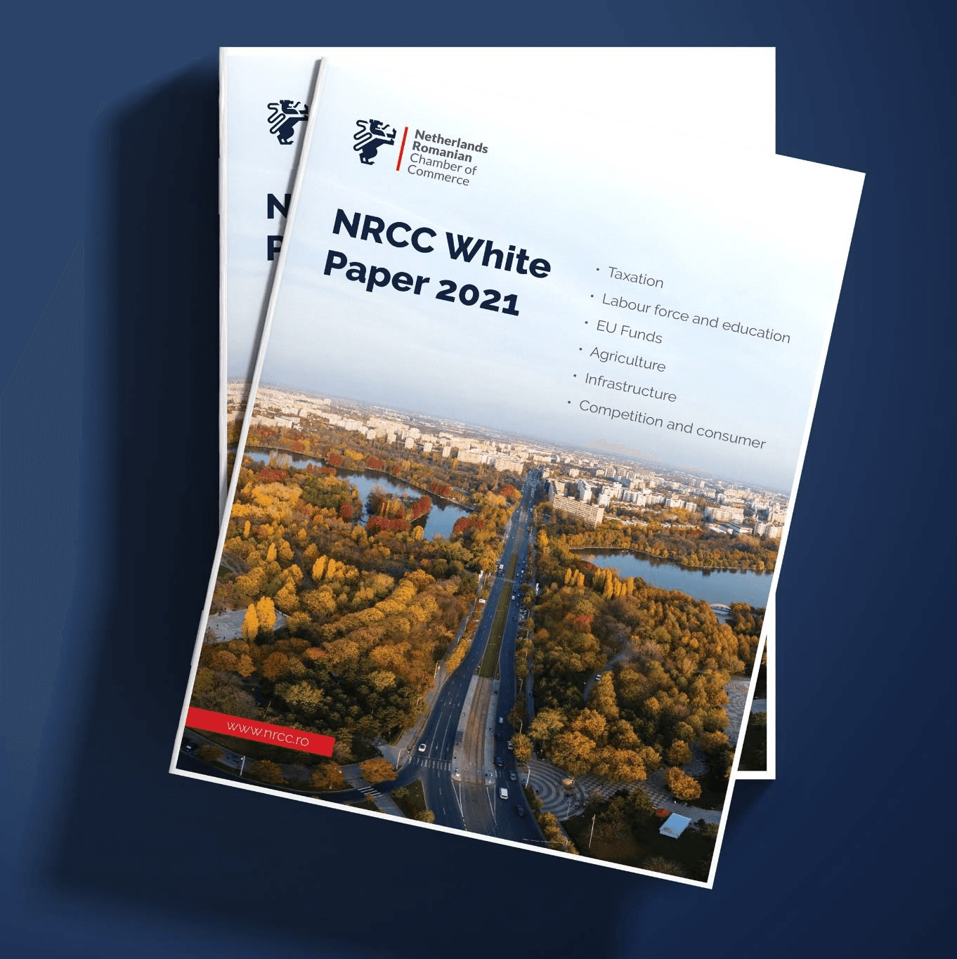 (P) NRCC White Paper: Defining the „New Normal” and a Roadmap for Economic Recovery