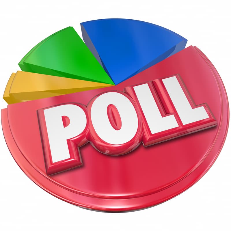 Poll confirms radical party AUR is losing support among voters