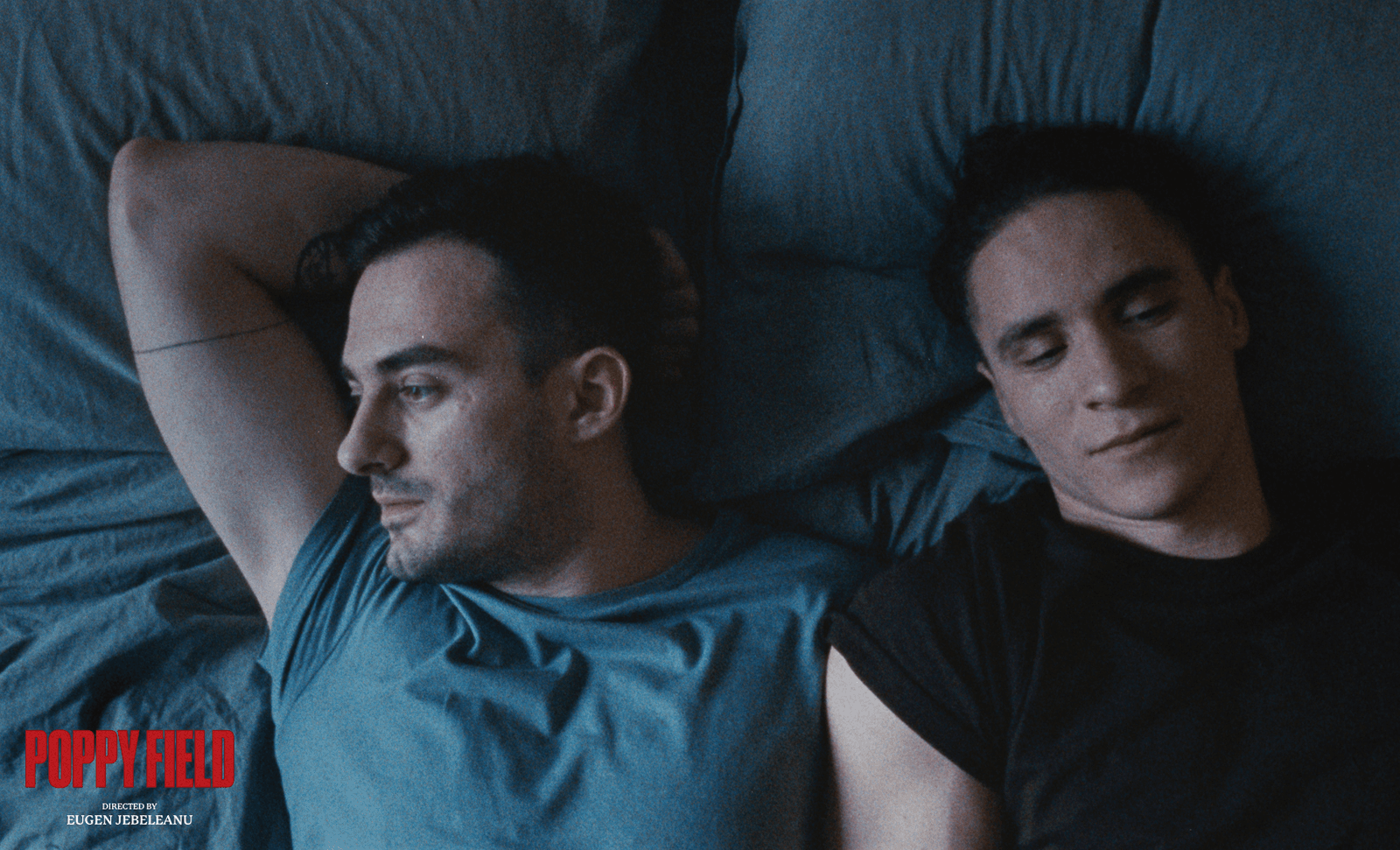Romanian film review – Poppy Field, House of Dolls, What Do We See When We Look at the Sky?, Malmkrog, Anim‘est