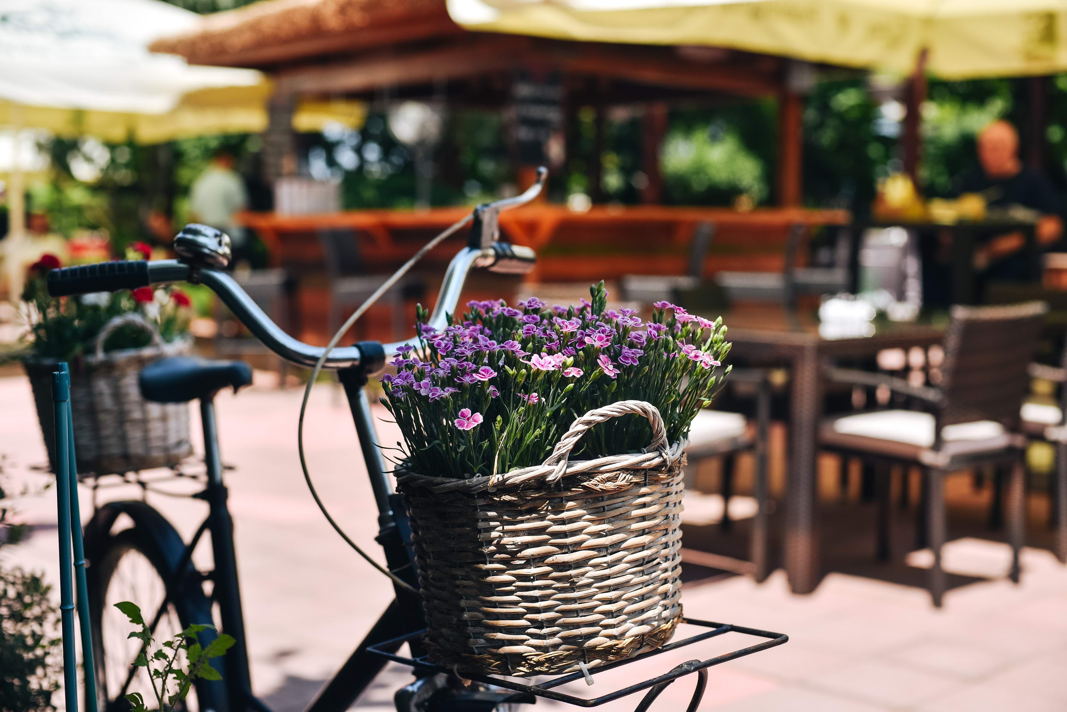 (P) Evenings "al fresco" in the heart of the city