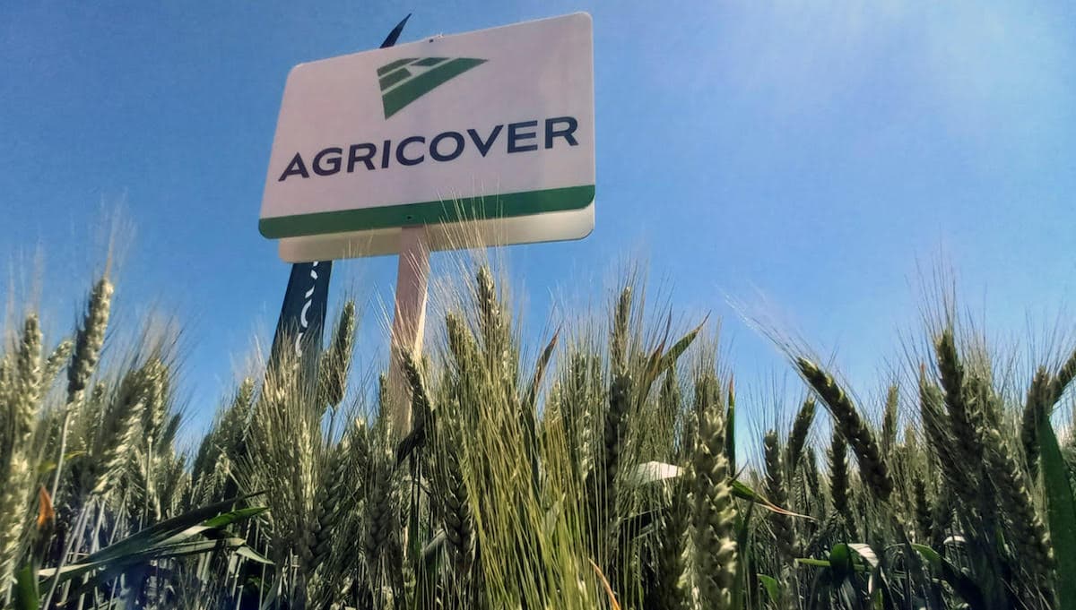 Romanian Agricover Holding announces plans for IPO on the Bucharest Stock Exchange