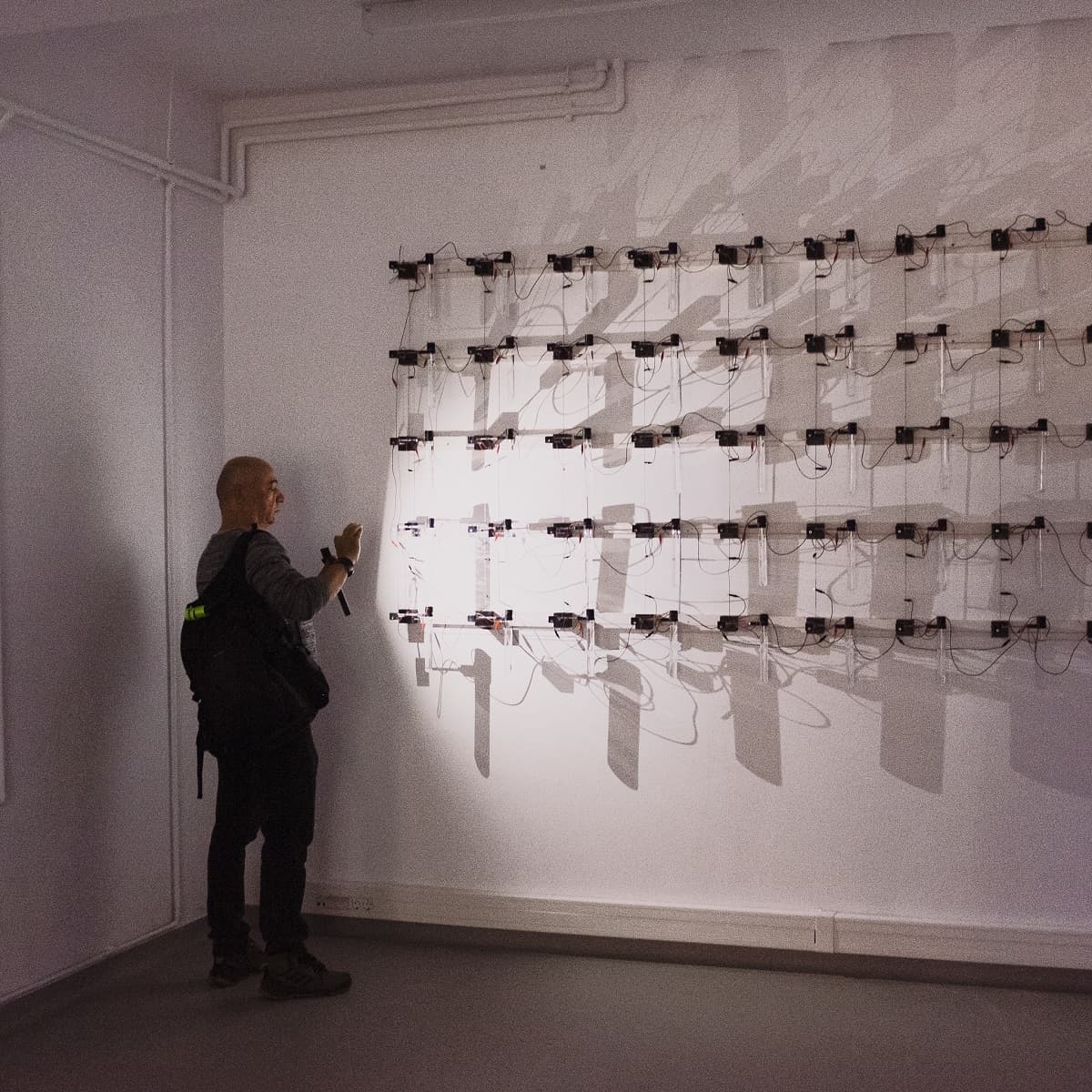 Uncanny Order: Bucharest exhibition invites public to explore dynamics of chaos