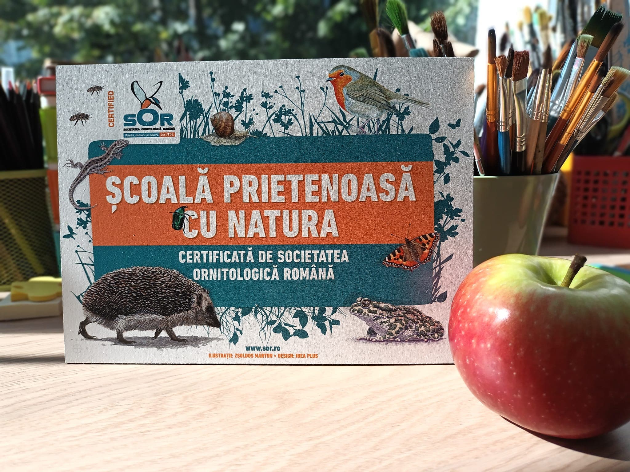 “Schools and Kindergartens Friendly with Nature” kicks off eight edition in Romania