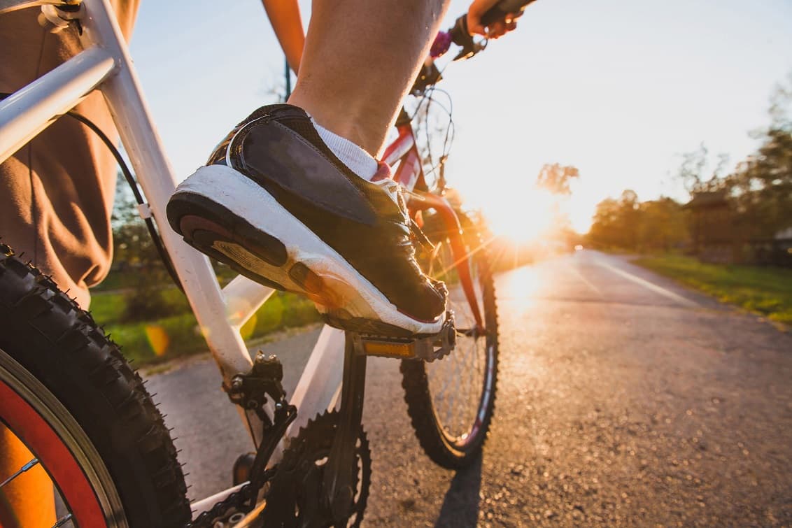 Bike trail linking Timişoara to Zrenjanin to reopen this month