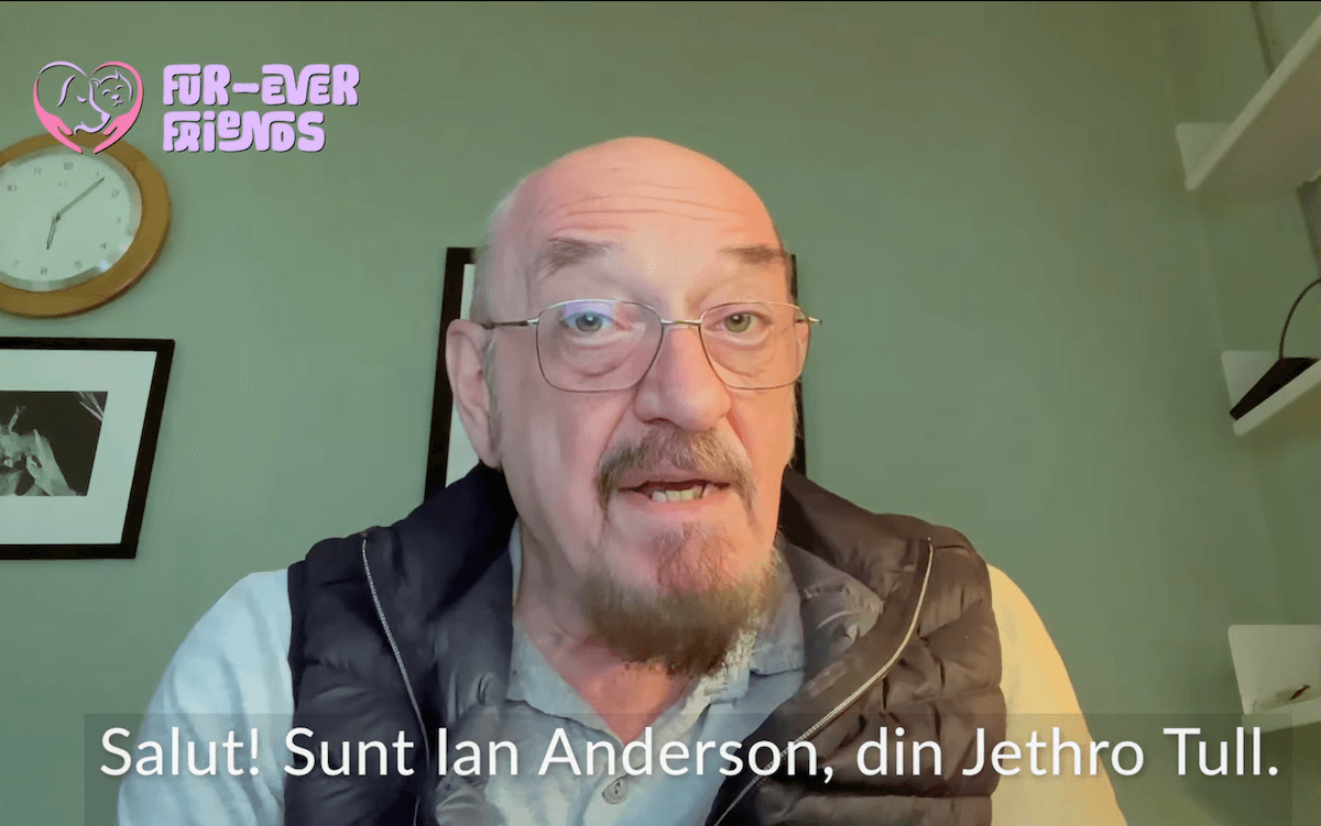 Lead singer of British rock band Jethro Tull promotes stray cat shelter in Romania's Oradea