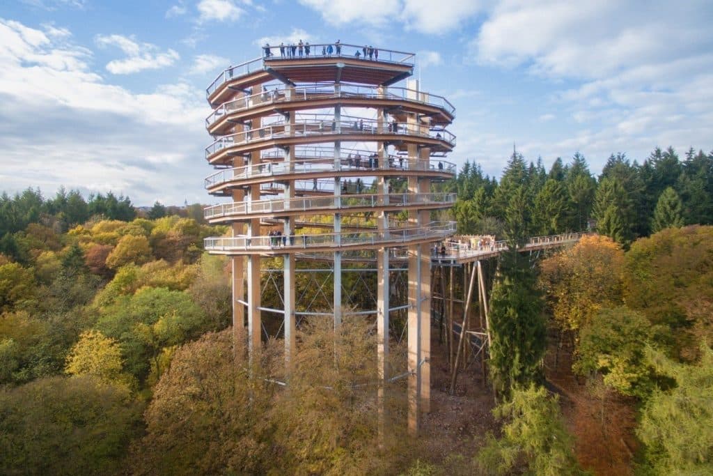 Brașov mulls proposal for Romania’s first Treetop Walk