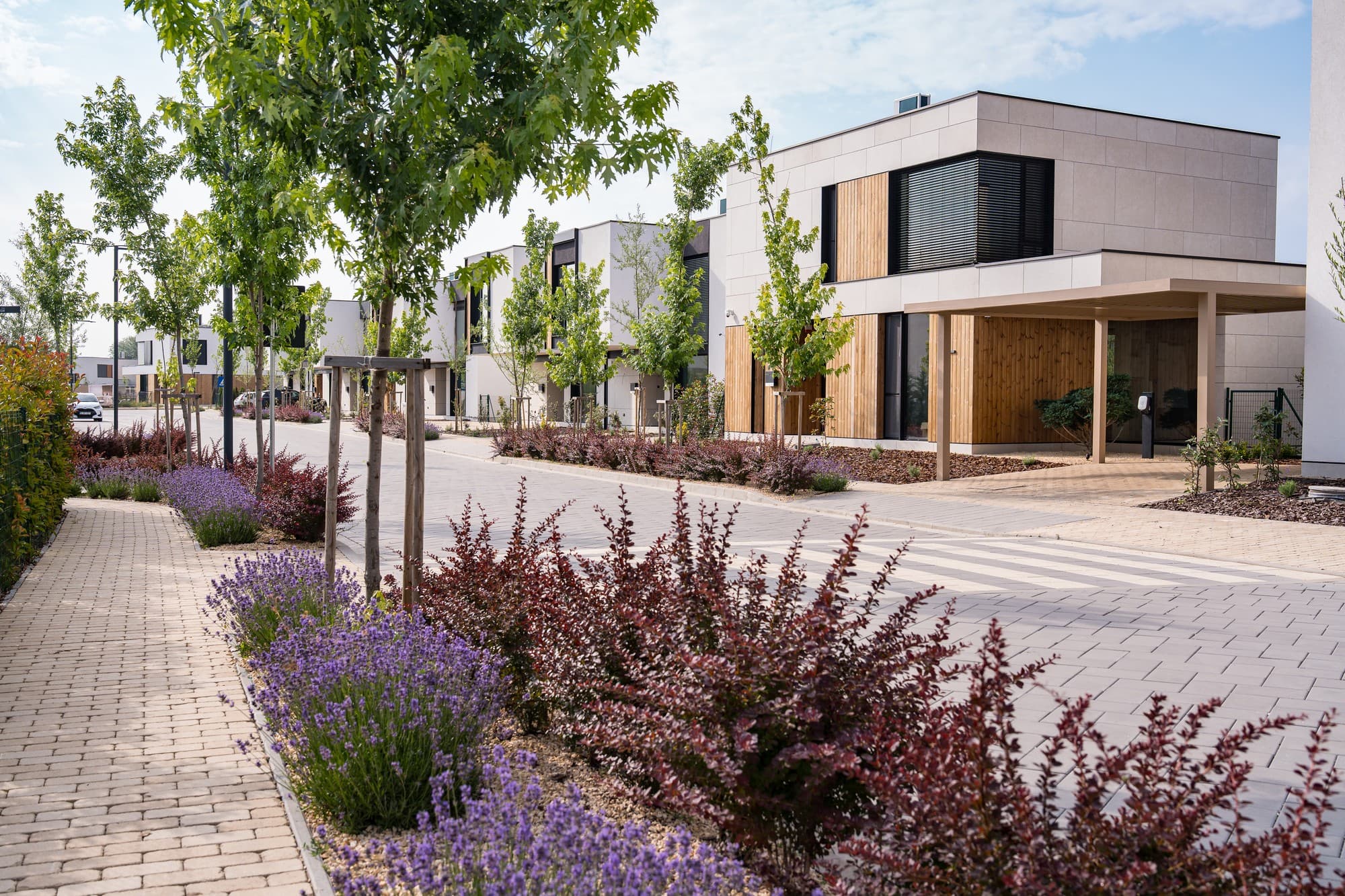 Residential developer Alesonor appoints STRABAG Romania as general contractor for new project