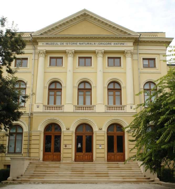 Govt. asks Antipa Museum in Bucharest to part with almost half of its park