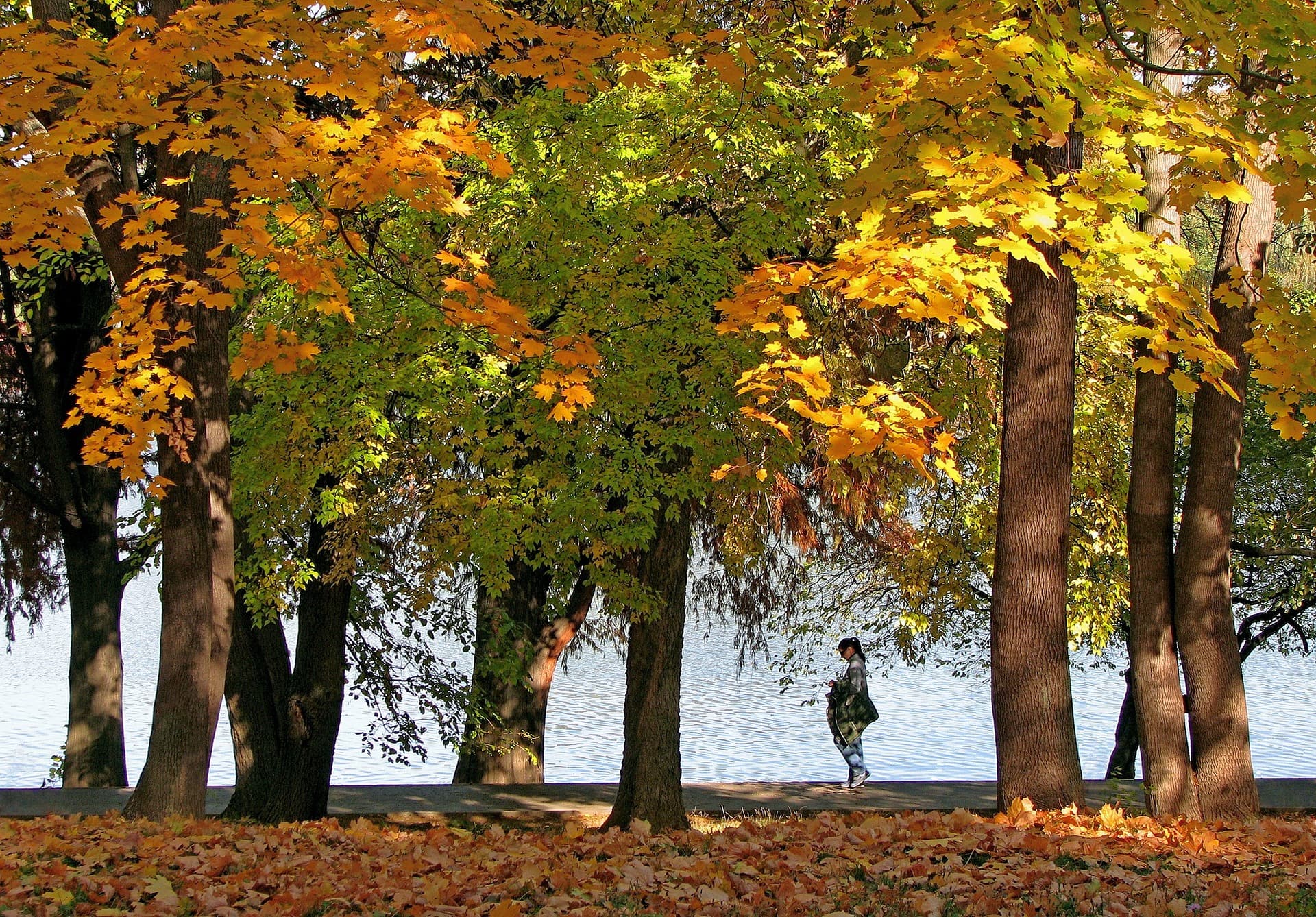 Five things to do in Bucharest this September