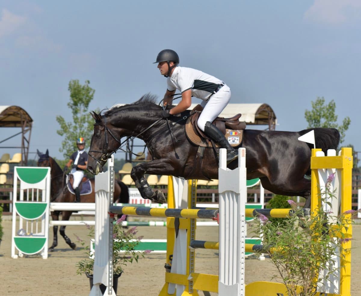Over 100 horses participate in Romanian equestrian competition